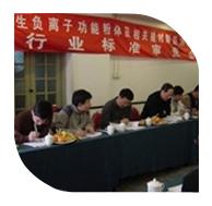 2006年3月10日，“產(chǎn)生負離子功能粉體及相關(guān)建材制品測試方法”行業(yè)標(biāo)準(zhǔn)審查會在北京召開。